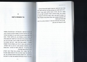 אמא נמרה_Page_06