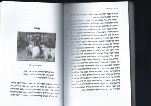 אמא נמרה_Page_17